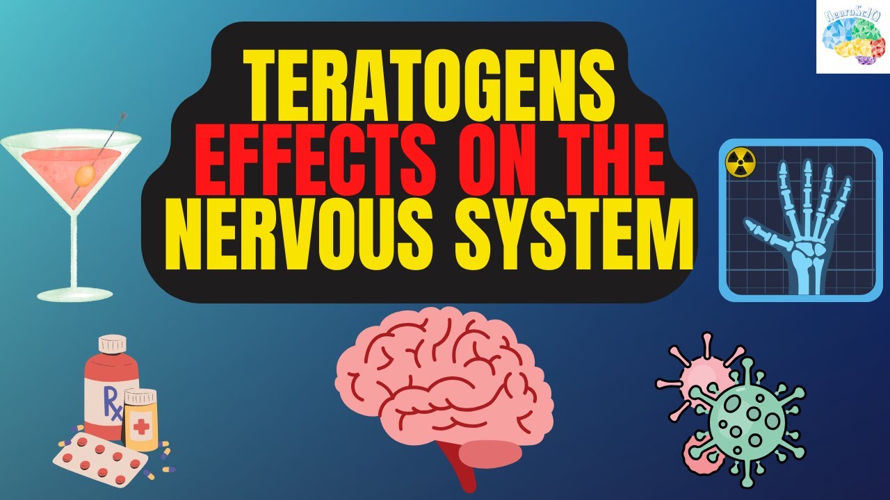 Teratogens Effects On The Nervous system