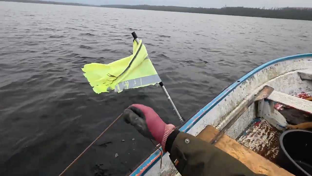 Verkoilla 4.12.2025 avovesikausi jatkuu