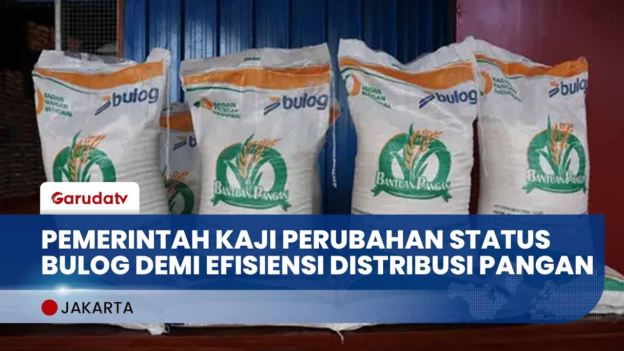Pemerintah Kaji Usulan Bulog Jadi Kementerian, Ini Dampaknya ke Distribusi Pangan
