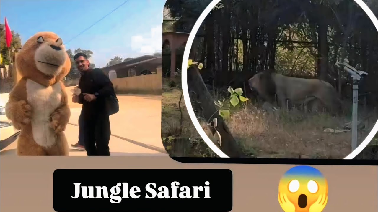 One Day Nature Trip 🌱 | Nahargarh Biological Park Jaipur