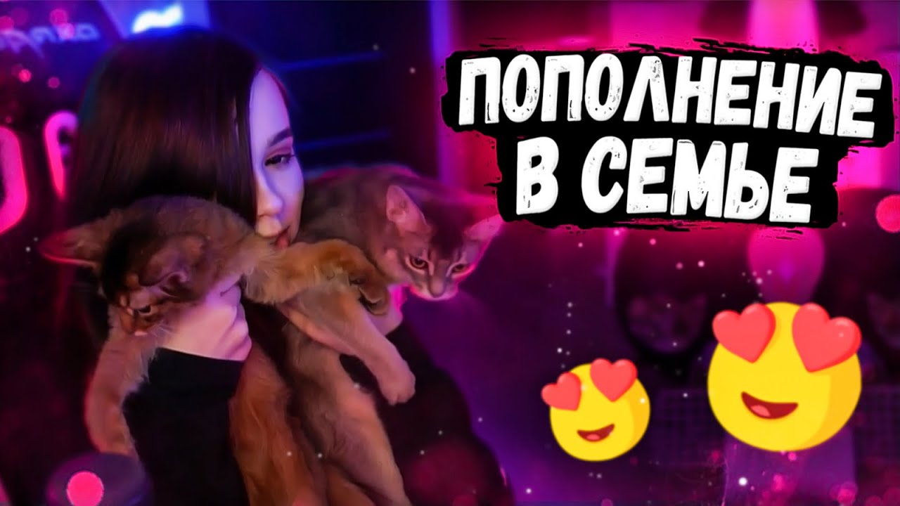 ЮЕЧКА И МОКРИВСКИЙ ЗАВЕЛИ КОТЯТ 😻