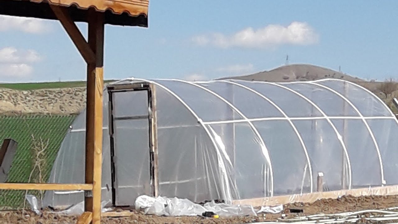 PPRC borudan sera yapimi