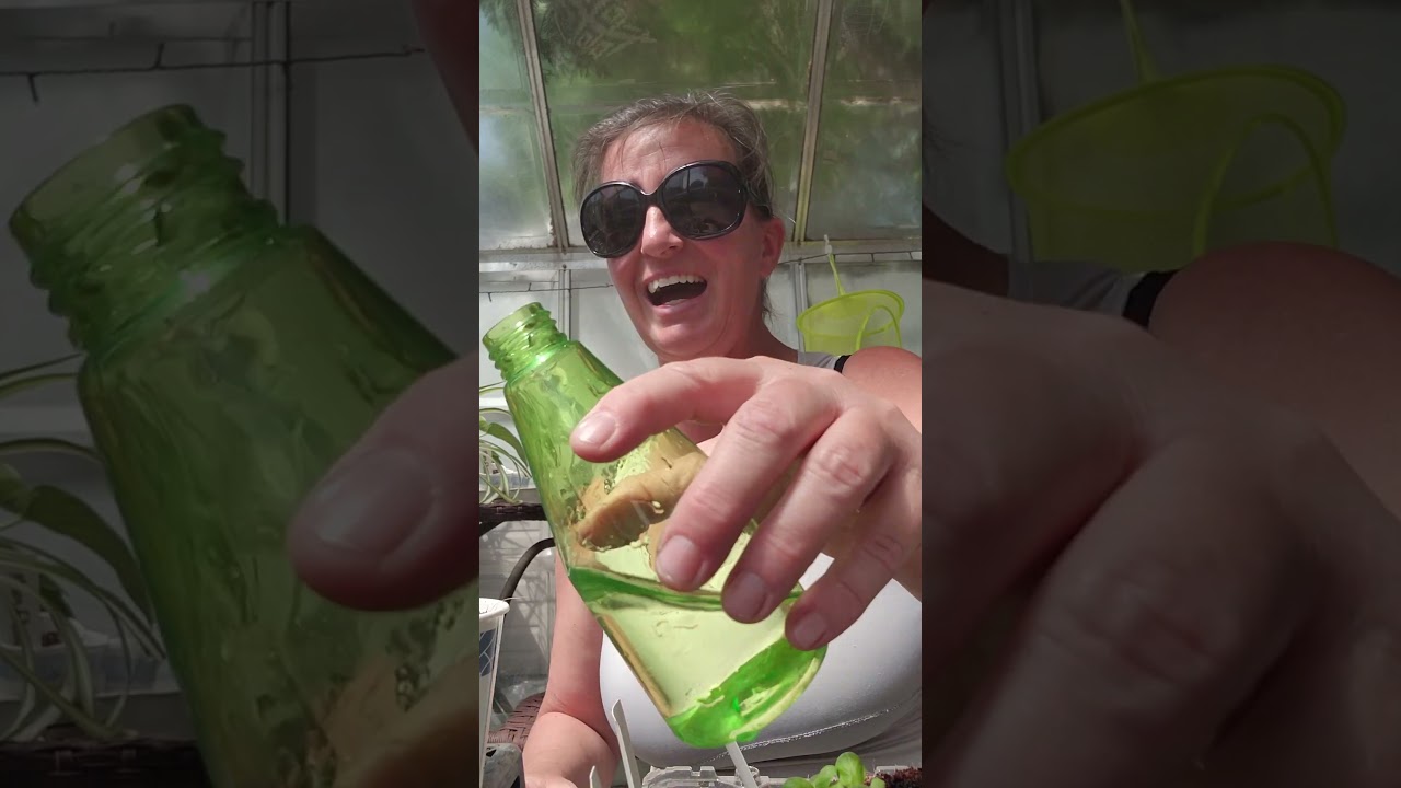 Greenhouse chats: own your quirks