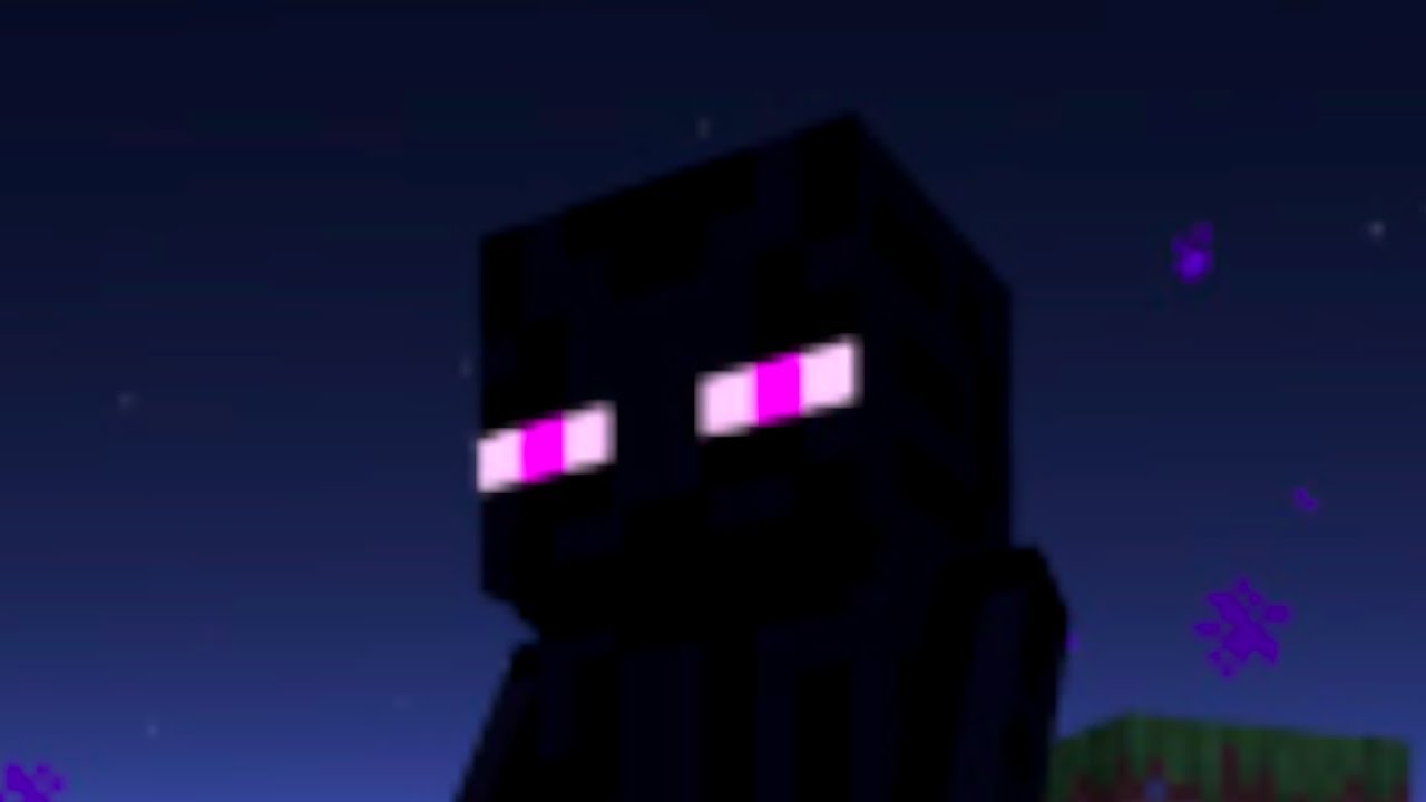 My expectations were too high