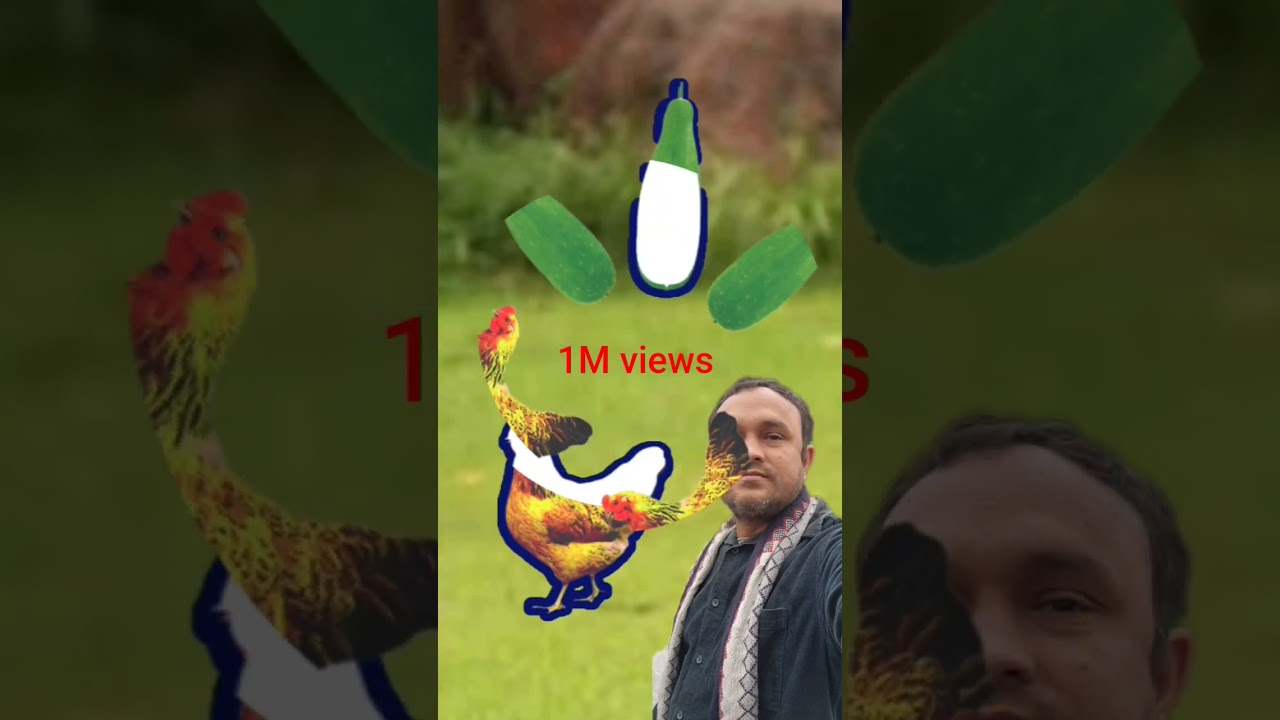 Chicken and gourd, me....💯