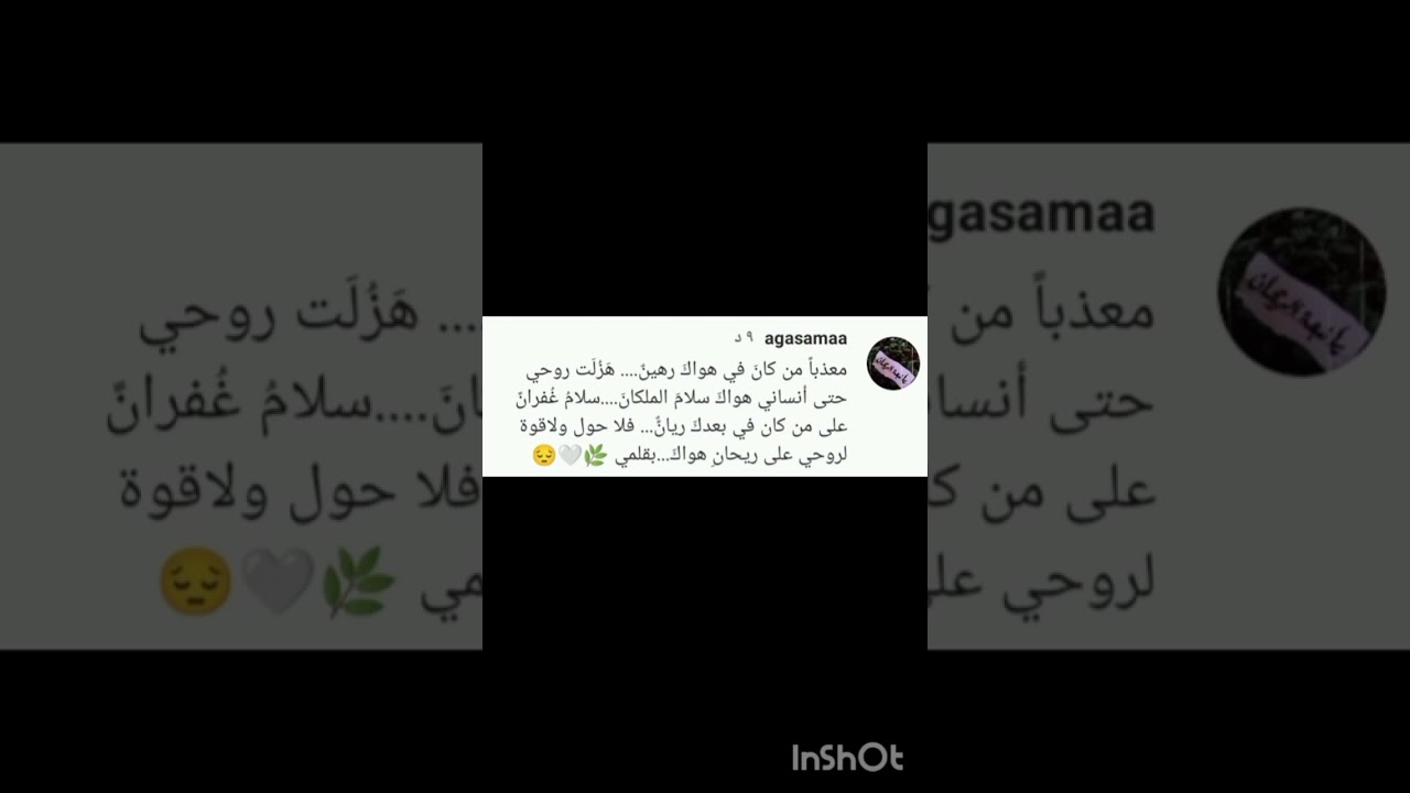 الزاوية العلاوية الدرقاوية الشاذلية كركوك العراق🌿نبعة صوفية 🕊️ اخلع نعليك