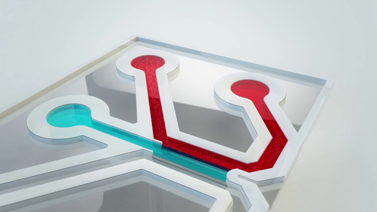 The OrganoPlate® 3-lane 64: Advanced 3D Tissue Modeling In Vitro in an Automated Workflow.