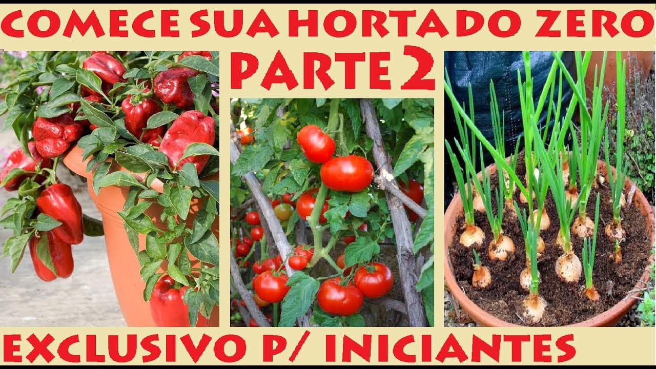 Como fazer o raleio das Mudas (tutorial para iniciantes) parte 2