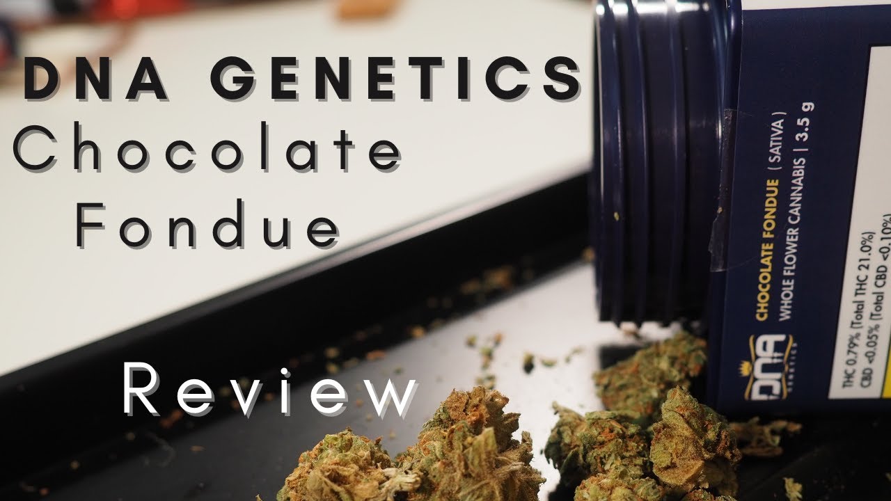 DNA Genetics - Chocolate Fondue Weed Review