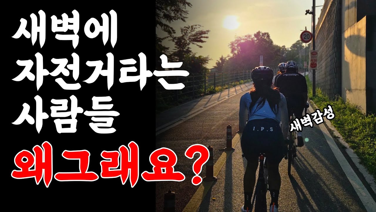 새벽에 자전거타는 사람들을 쫓아가봤습니다.