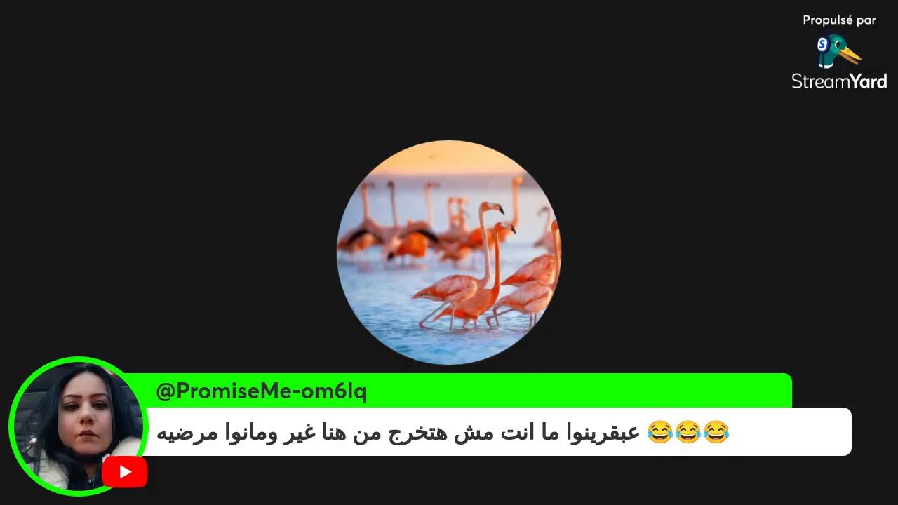 كارت كادو