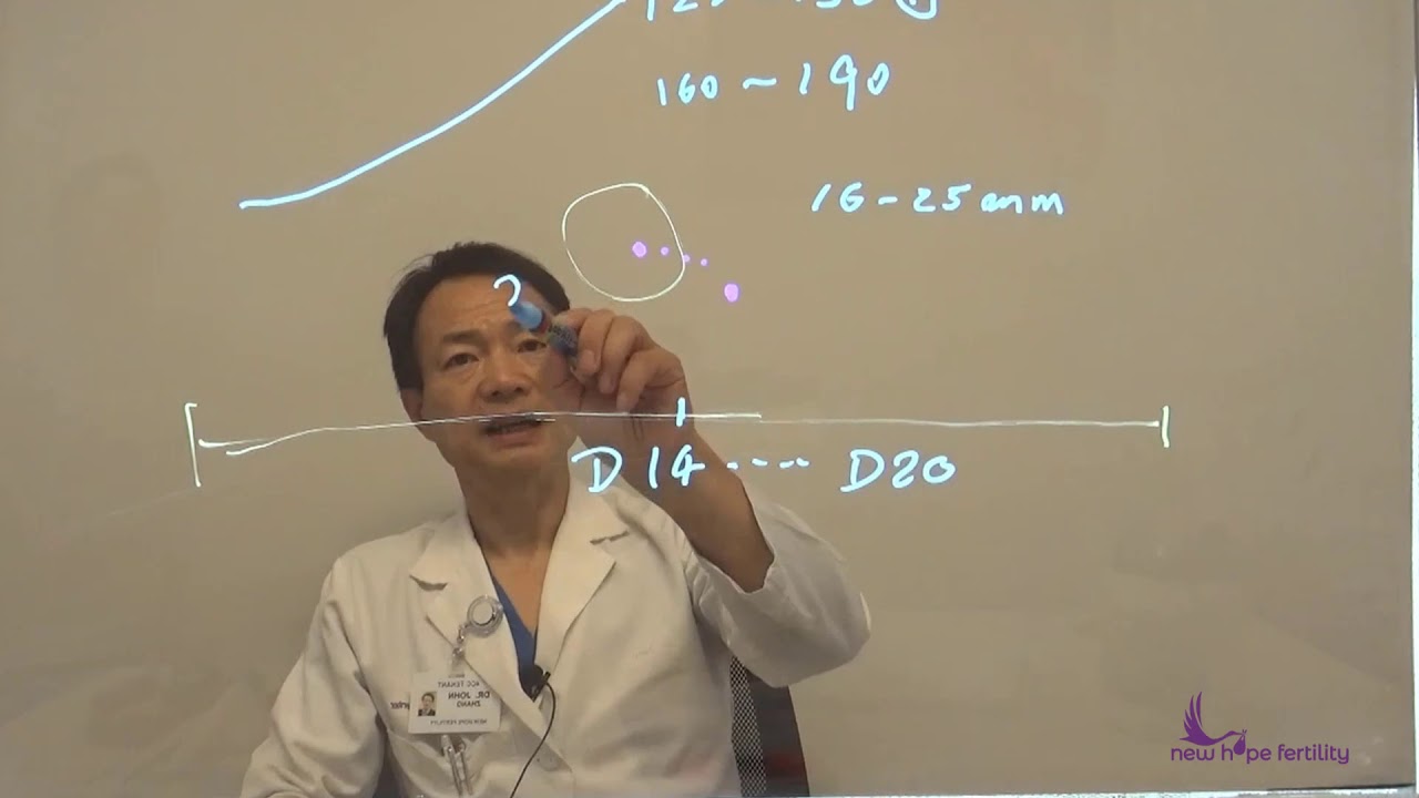 New Hope Fertility - Follicle Size and When to Trigger