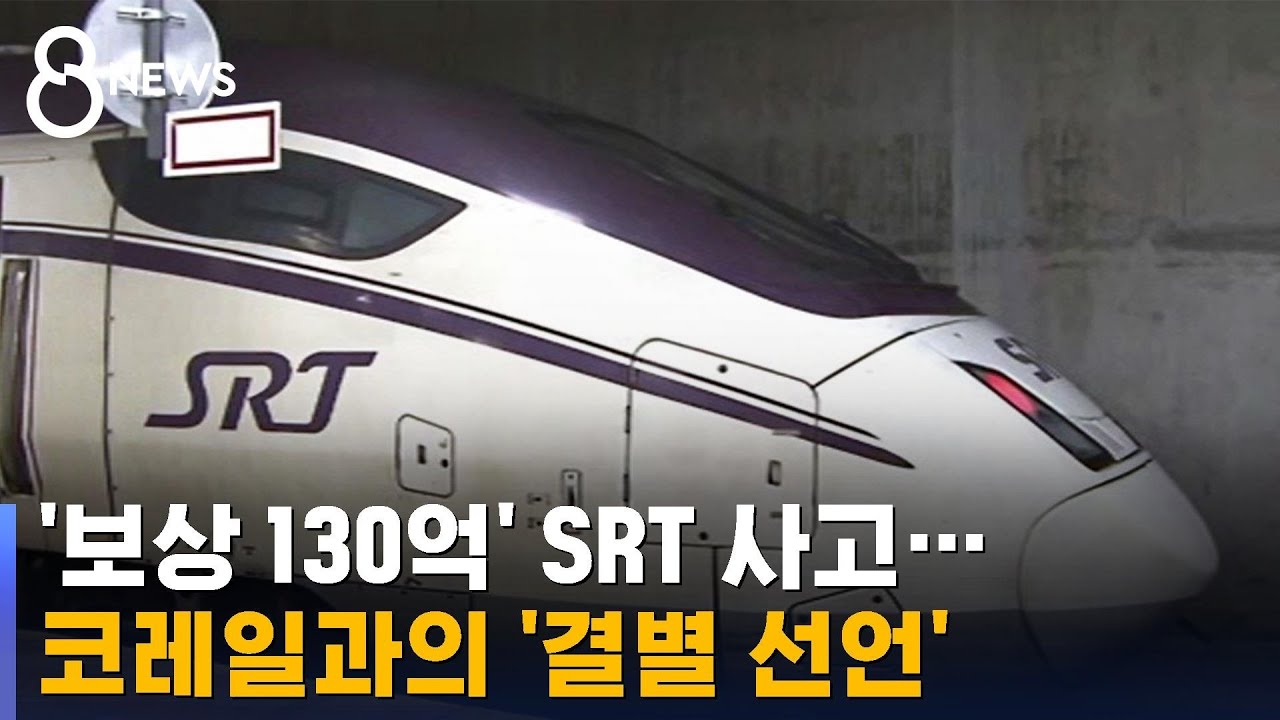 '보상 130억' SRT 사고…코레일과의 '결별 선언' / SBS 8뉴스