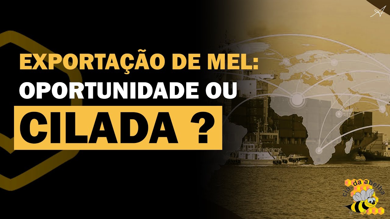 Exporta&ccedil;&atilde;o de mel, oportunidade ou cilada ? | Cia da Abelha