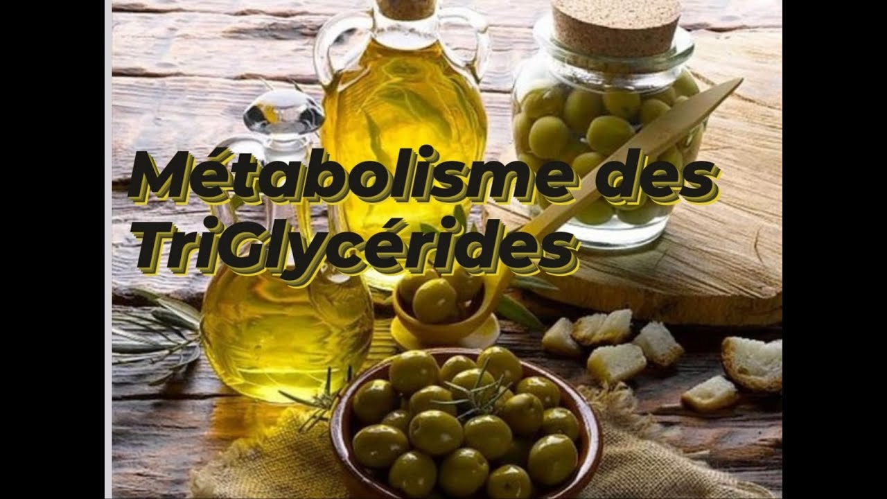 METABOLISME DES TRIGLYCERIDES