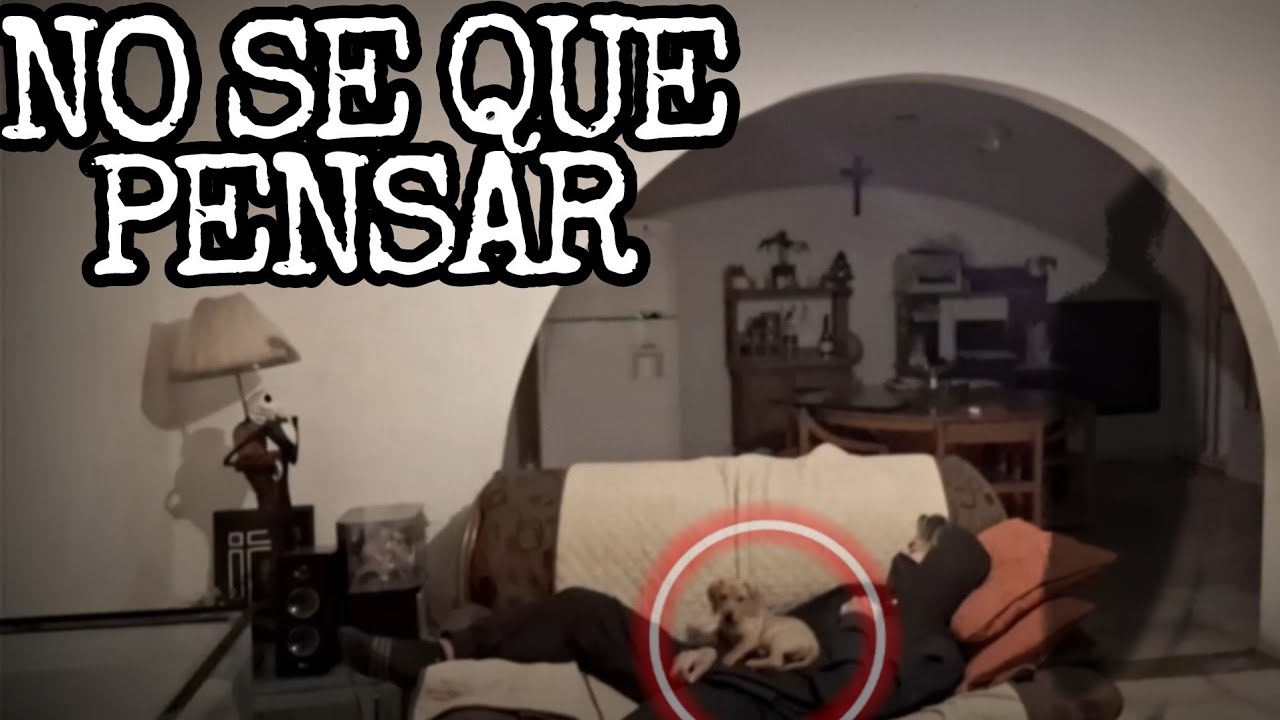 Deje La Cámara Grabando Mientras Dormía En La Sala, Dime Que Ves Tu...