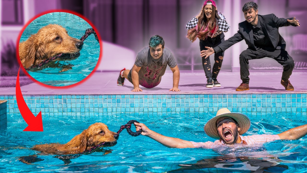 NOSSO CACHORRO SALVOU O TIO ZETO !! Família Malouca EP 31 ( WebSérie Maloucos )