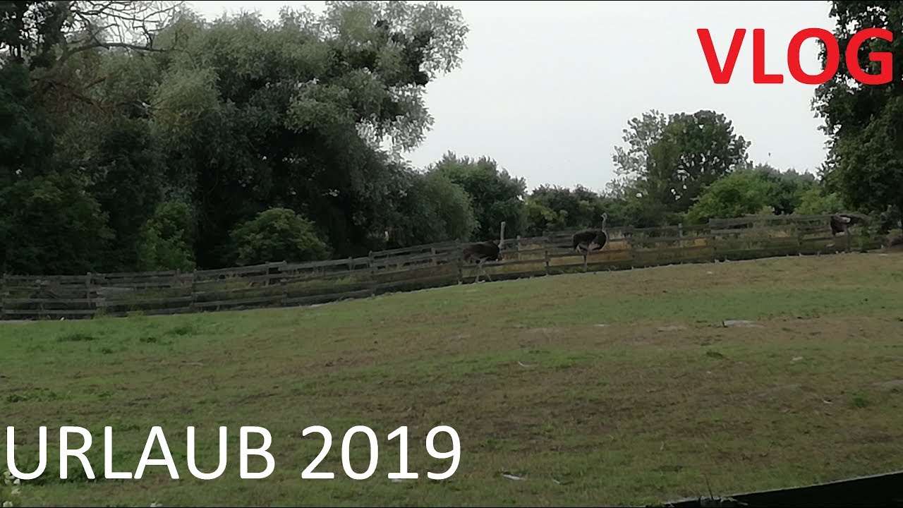 URLAUB 2019 | Vlog | Raltoxic