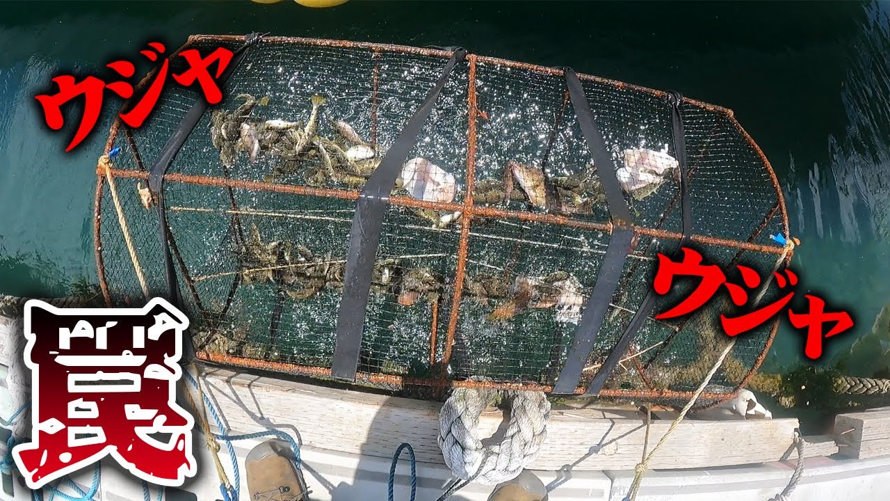 【２本立て】海に沈めた「罠」で大量捕獲‼※前半は堤防でカニ獲り