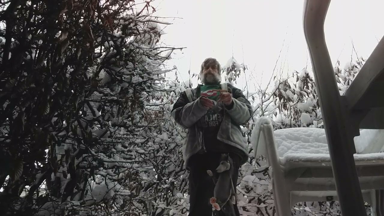 Fimbulwinter 