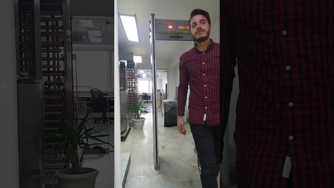 6zone dedektör bıçakla giriş kontrolü