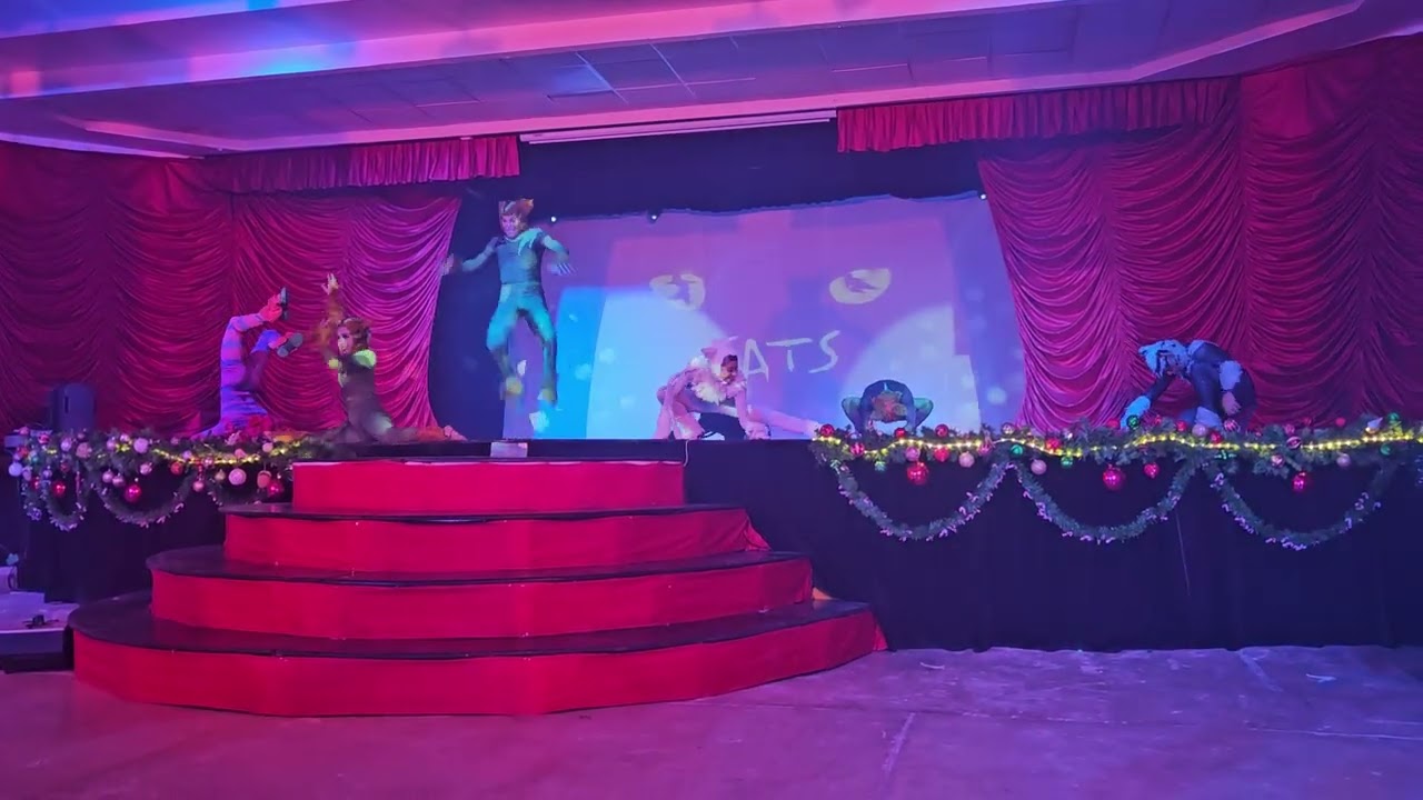 Show gatos niños cats música y baile evento musical bailarines profesionales vestuario genial animal
