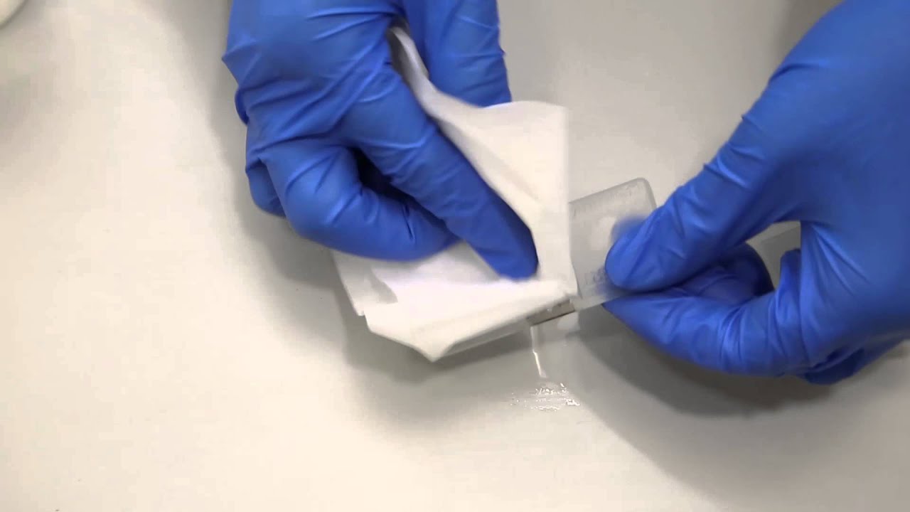 Loading a Hemacytometer for Manual Cell Count