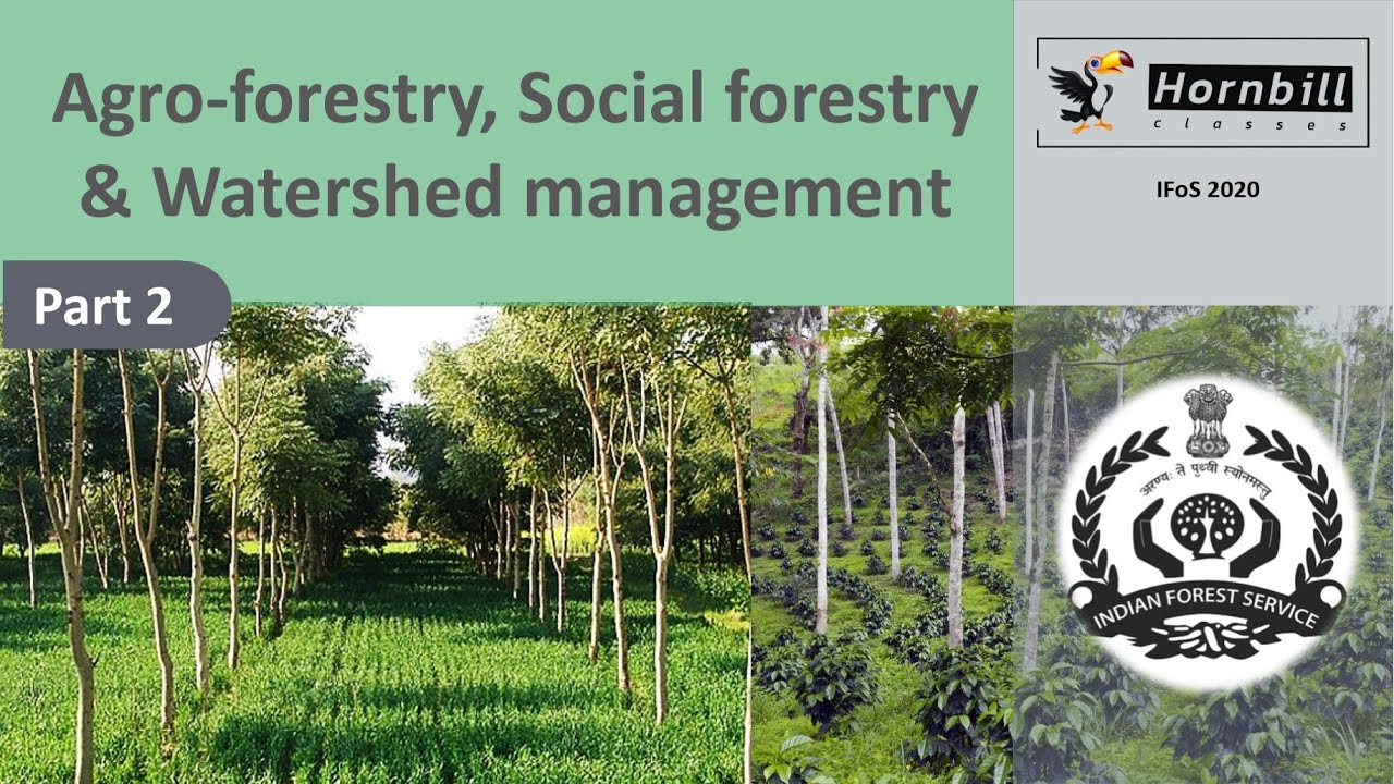 27. IFoS-2020   |  Social forestry