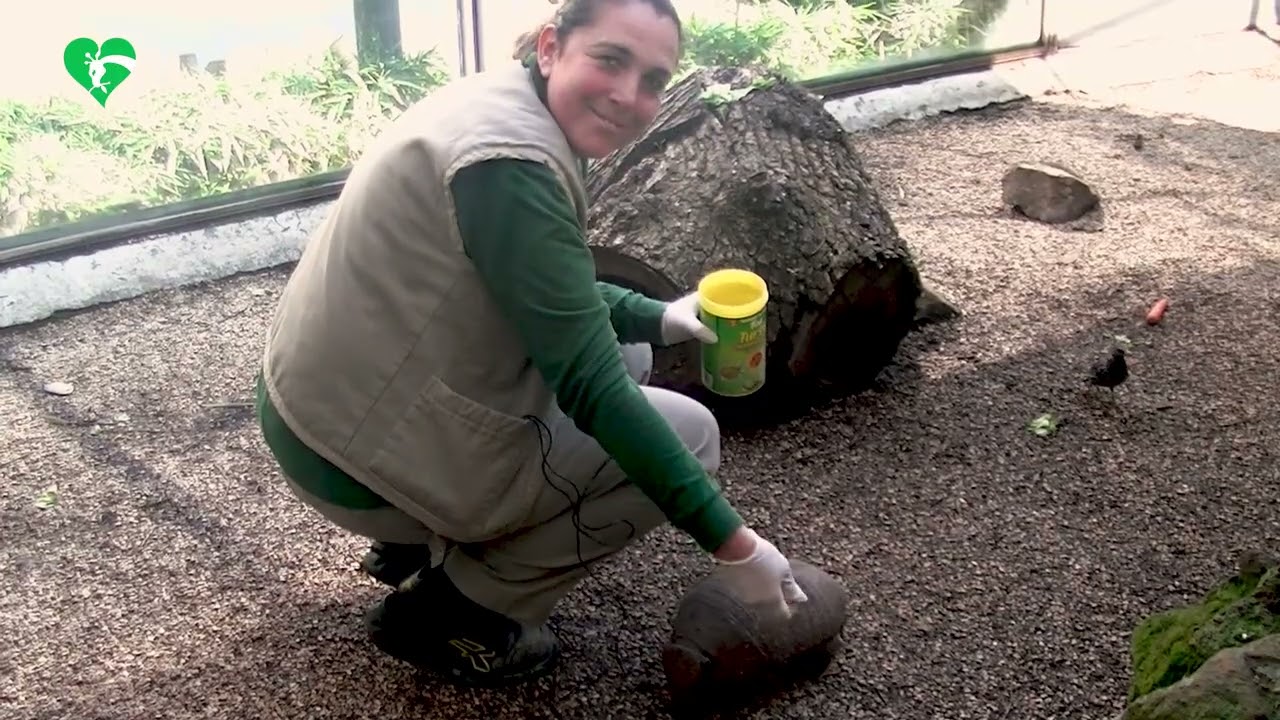 Festa delle donne al Bioparco  2025