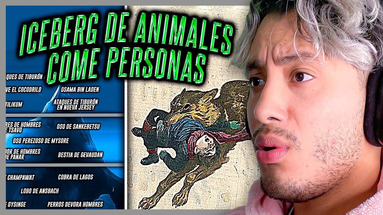 MAAU reacciona al ICEBERG de ANIMALES COME PERSONAS 🐶🌭