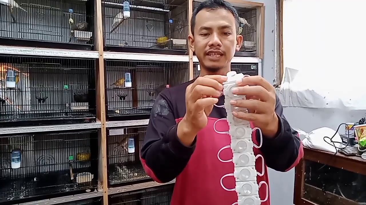 | MURAH DAN HEMAT GUYS || Upgrade rak ternak Kenari || Penerangan Lampu LED EKONOMIS & NYAMAN |
