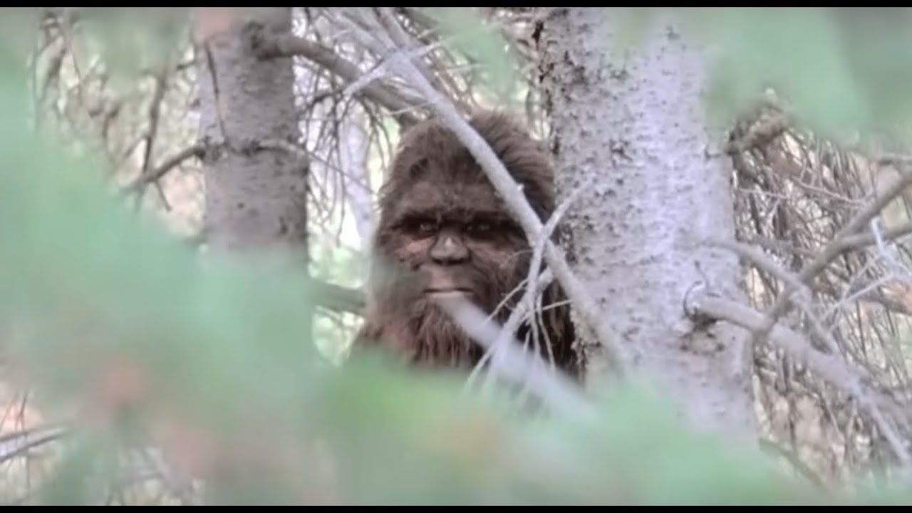 BIGFOOT Attack CAUGHT on Cam &mdash; What This Man Filmed In Northern California SHOCKED the World!