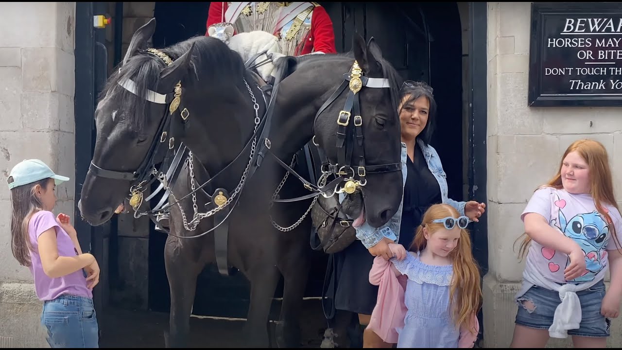 Keep Your Kids Safe:  Not too Close to the King's Horse.