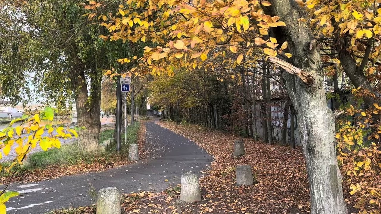 Canal de l’Ourcq, November 5th 2025