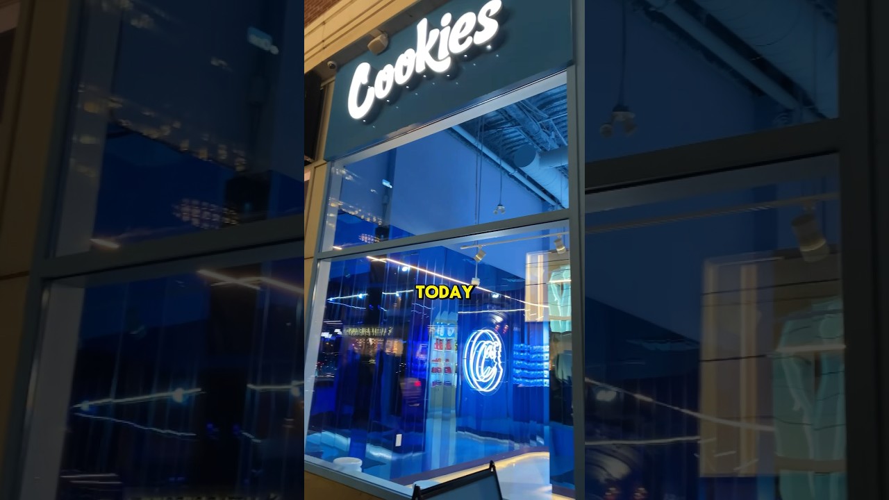 BEST Weed Store In The WHOLE Of CANADA🍁💨 #cookies #420 #toronto