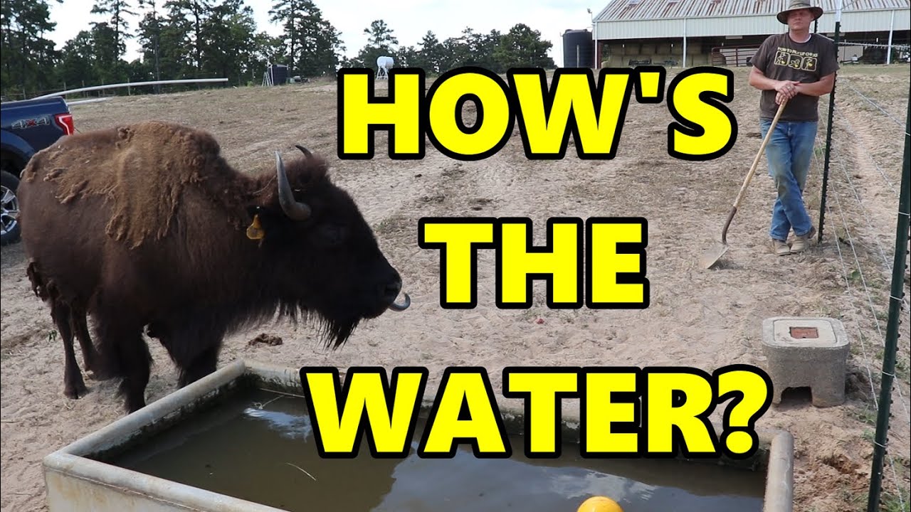 Ep. 191 - Top or Bottom, Which Do I Prefer? | Blackacre Ranch