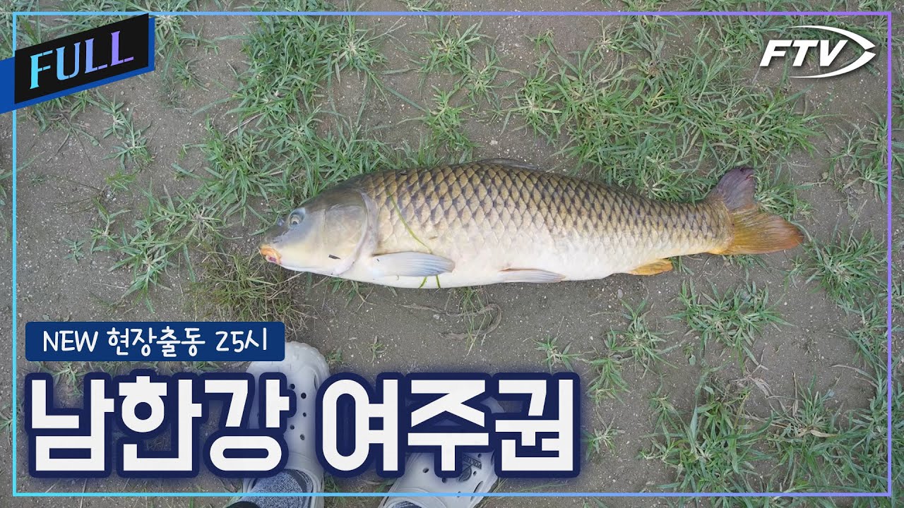 남한강 여주권 조황출동[NEW현장출동25시/49회]