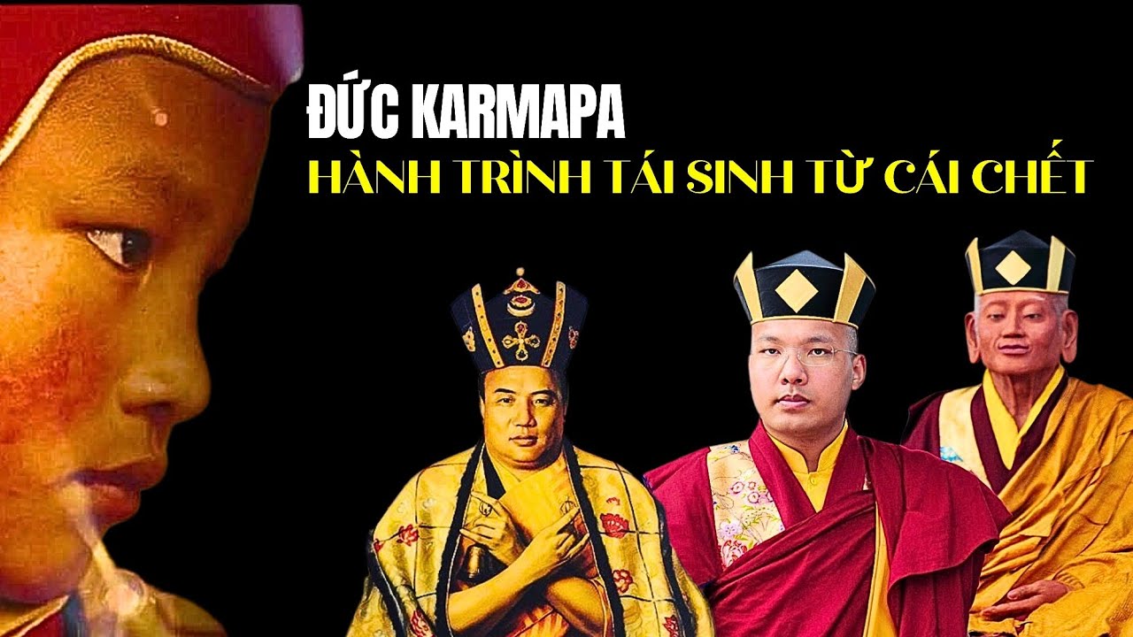 Hành trình tái sinh từ cái chết của Đức Karmapa | Nhìn thấy luân hồi | Phần 5