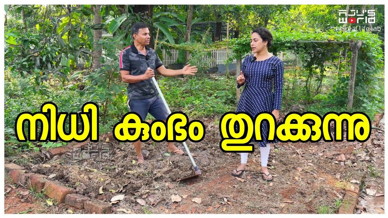 അവസാനം നിധി കുംഭം തുറക്കുന്നു / Family vlog /Agriculture tips /entertainment /Gardening 