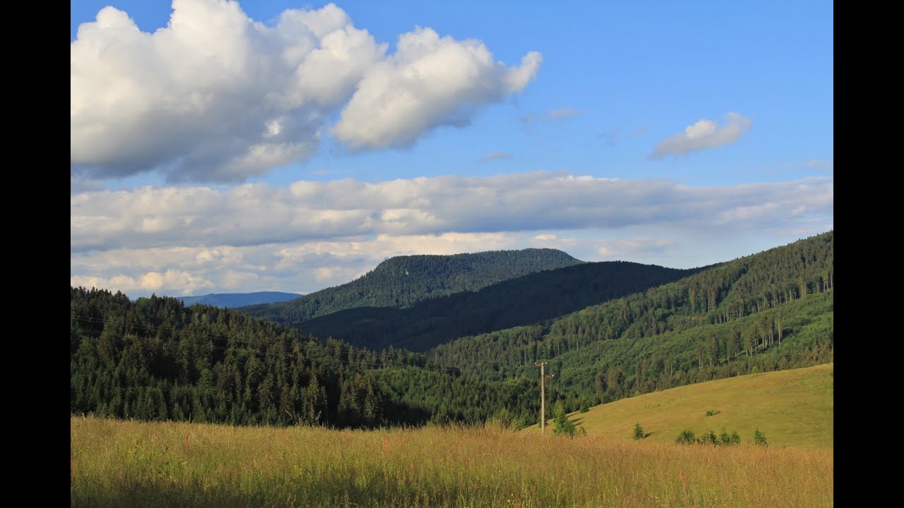 Klenovsk&yacute; Vepor 1338 m.n.m. -  20.6.2015
