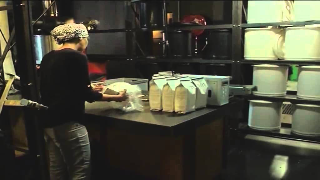 David Donde - Founder of Truth Coffee Cult