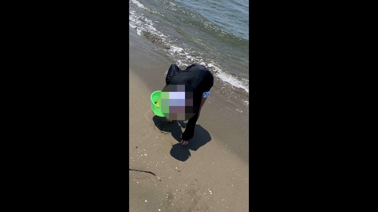 【心霊映像】奇怪すぎる！海岸で貝殻を集める映像に…心霊映像を連続して撮影することになった神秘体験とは？【心霊闇動画88】