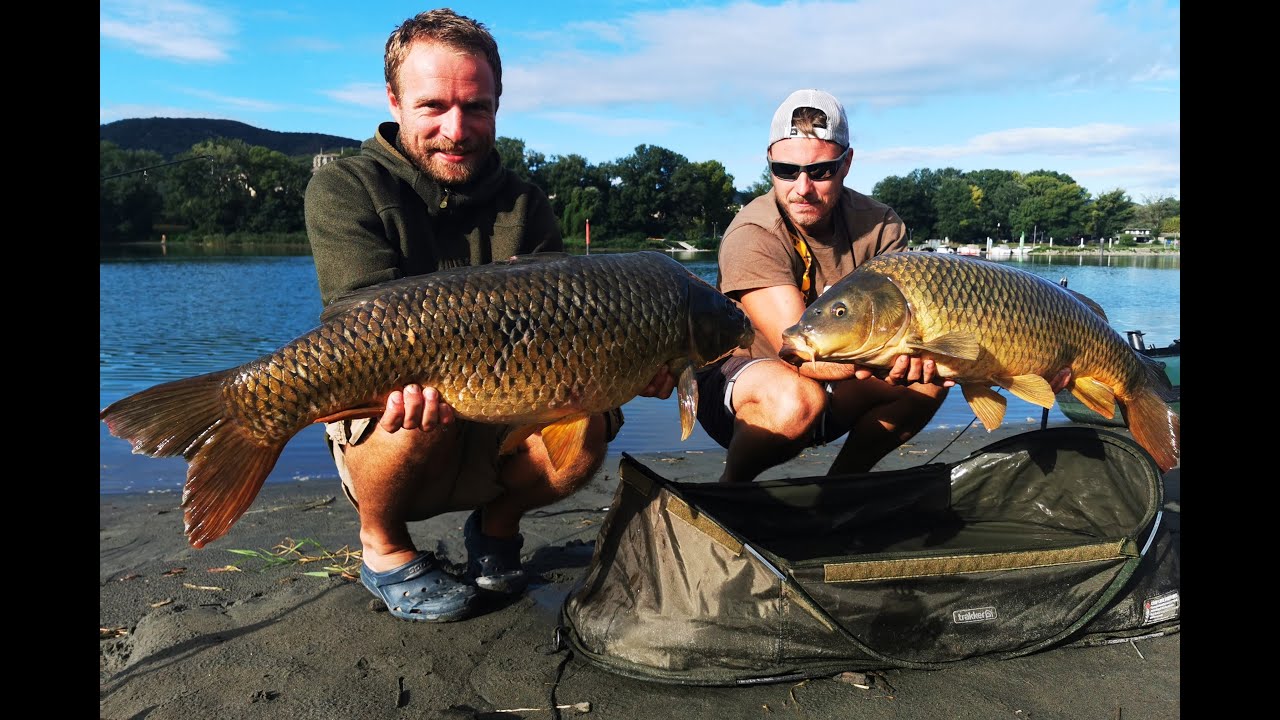 Session de pêche de la carpe dans le Rhône