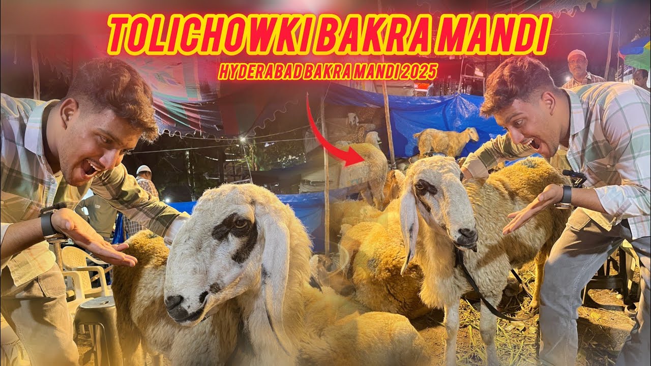 Tolichowki Bakra Mandi | Hyderabad Bakra Mandi 2025 | Hyderabad Goat Market
