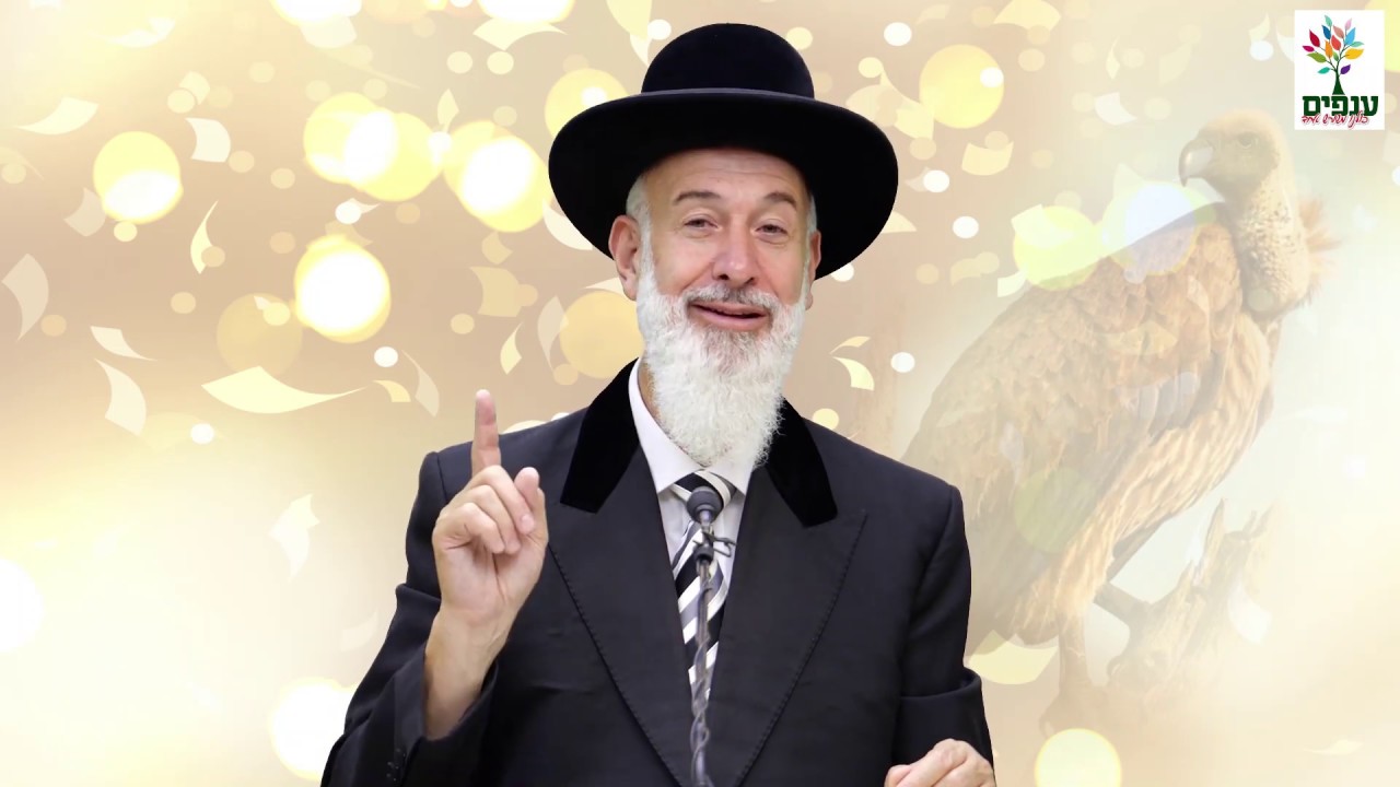 פרשת נח - הרב יונה מצגר HD - מוסר השכל מהעורב! חזק ביותר!