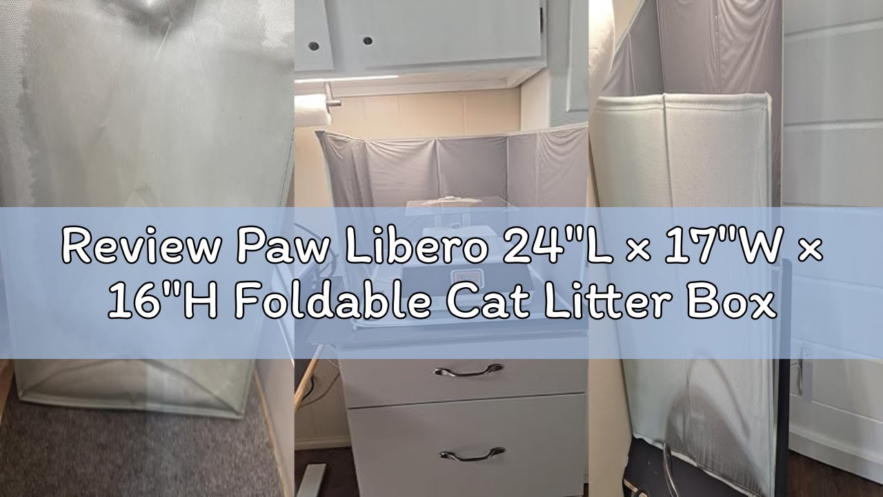 Review Paw Libero 24
