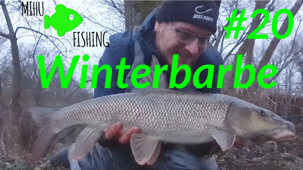 Winterbarbe - Angeln im Winter
