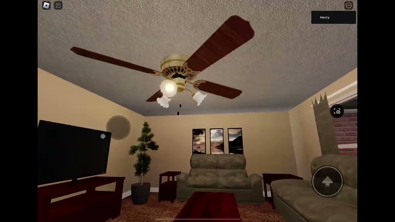 Ceiling fan  house