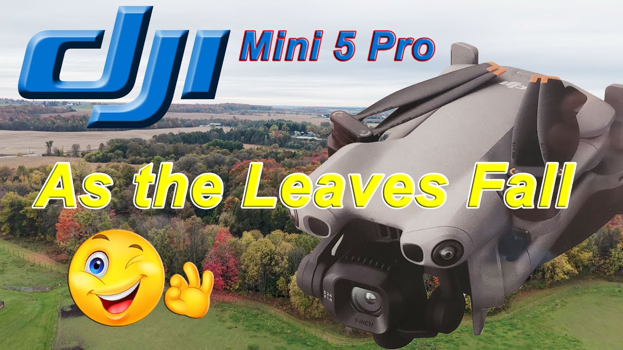 DJI Mini 5 Pro — Пока не опали листья — 🍁🍂😱👍👀