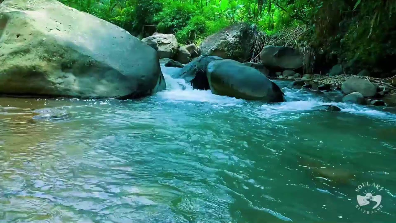 River Sounds for Sleeping. Soothing Forest Stream Ambience for Sleep and Meditation #river 4